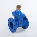 Hot Sale Ductile Iron Sulice Valve (Z45X)